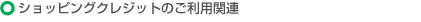 �V���b�s���O�N���W�b�g�̂����p�֘A