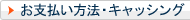 ���x�������@�E�L���b�V���O