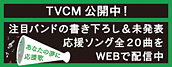 TVCM���J���I�@���ڃo���h�̏������낵�������\�����\���O�S20�Ȃ�WEB�Ŕz�M���B