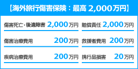 海外旅行損害保険:最高2,000万円