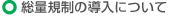 総量規制の導入について