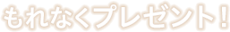 もれなくプレゼント！