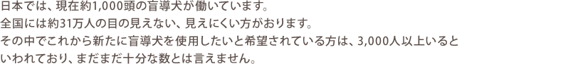 日本では、現在約1,000頭の盲導犬が働いています。全国には約31万人の目の見えない、見えにくい方がおります。その中でこれから新たに盲導犬を使用したいと希望されている方は、3,000人以上いるといわれており、まだまだ十分な数とは言えません。
