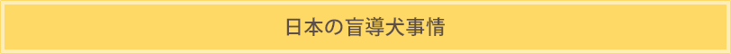 日本の盲導犬事情