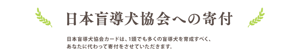 日本盲導犬協会への寄付 日本盲導犬協会カードは、1頭でも多くの盲導犬を育成すべく、あなたに代わって寄付をさせていただきます。