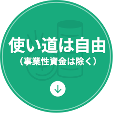 使い道は自由(事業性資金は除く)