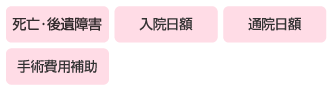 国内傷害保険説明