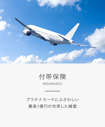 付帯保険 INSURANCE プラチナカードにふさわしい最高1億円の充実した補償