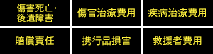傷害死亡・後遺障害 傷害治療費用 疾病治療費用 賠償責任 携行品損害 救援者費用
