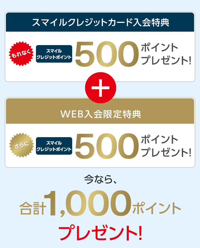 mkt様 クレジット専用 32000円 個人事業主さま・法人代表者さま専用クレジットカード「DCMビジネス