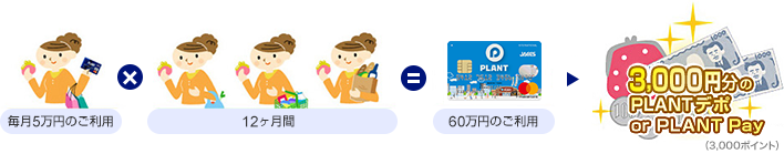 毎月5万円のご利用×12ヶ月間=60万円のご利用⇒3,000円分のPLANTデポ or PLANT Pay(3,000ポイント)