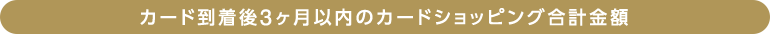 カード到着後3ヶ月以内のカードショッピング合計金額