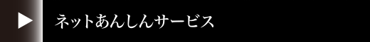 ネットあんしんサービス