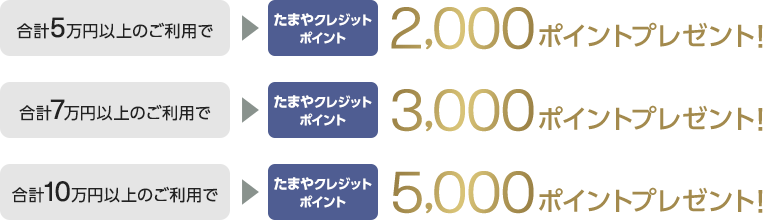合計5万円以上のご利用でたまやクレジットポイント2,000ポイントプレゼント！ 合計7万円以上のご利用でたまやクレジットポイント3,000ポイントプレゼント！ 合計10万円以上のご利用でたまやクレジットポイント5,000ポイントプレゼント！