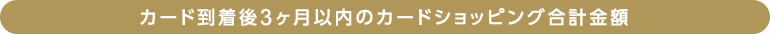 カード到着後3ヶ月以内のカードショッピング合計金額