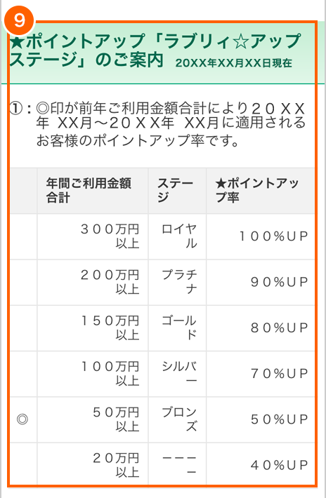 ご利用代金明細の見方 ラブリィポイント